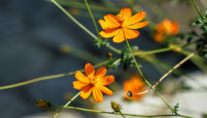 太原头条疫情最新：跟随真相，科学防疫，保护健康