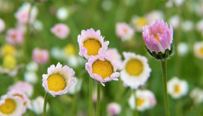 德惠昨天疫情最新通报：紧跟最新动态，科学防疫保护您我