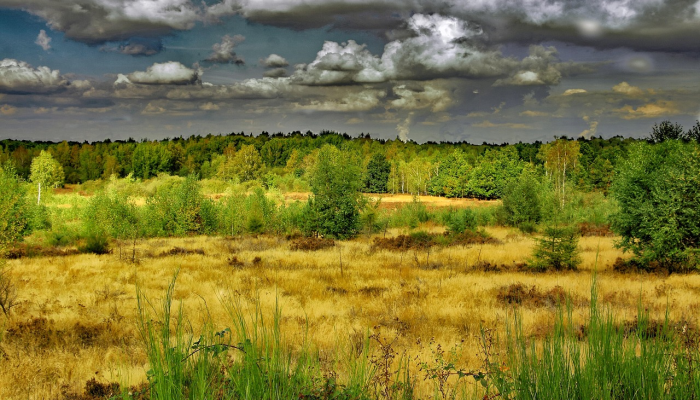 丰宁坝上疫情最新:保护健康,共同努力 丰宁坝上疫情最新:保护健康,共同努力
