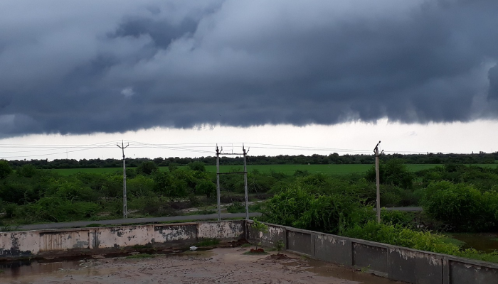 古吉拉特疫情最新：深入解析与未来展望