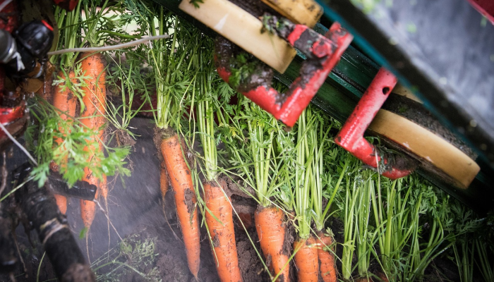 罗圩最新疫情：保护健康，从科学防护开始