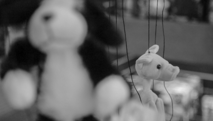 猪的最新疫情：关注健康，保障未来