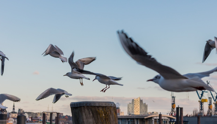 疫情地图西安最新疫情：精准、及时、全面的信息你不容错过