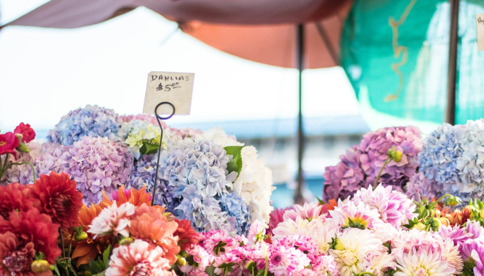 济宁最新疫情小区：了解你所在社区的健康状况