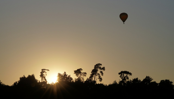刚果东部最新疫情：危机与希望交织的现实