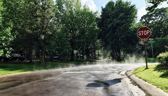 越南边境疫情最新通报