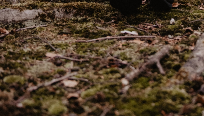 宁夏疫情最新下雪:让我们共同守护健康,共迎美好未来 宁夏疫情最新下雪:让我们共同守护健康,共迎美好未来