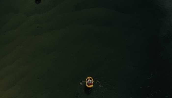 埔田仙游疫情最新情况：让您安心关注健康与安全