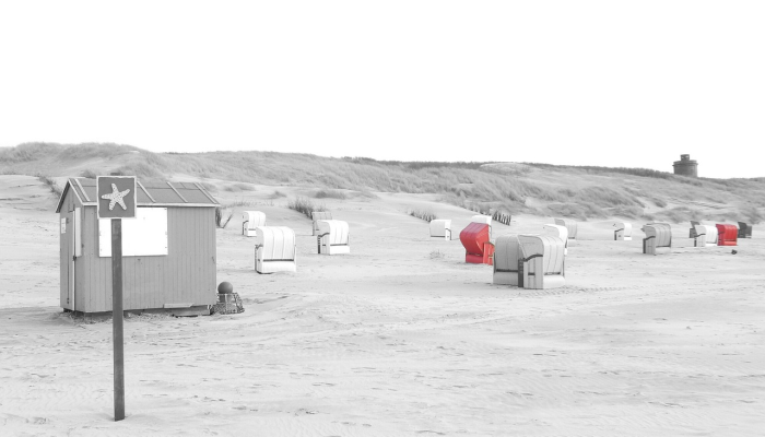 官台新苑疫情最新消息：贴心关怀，科学防疫，共同守护健康