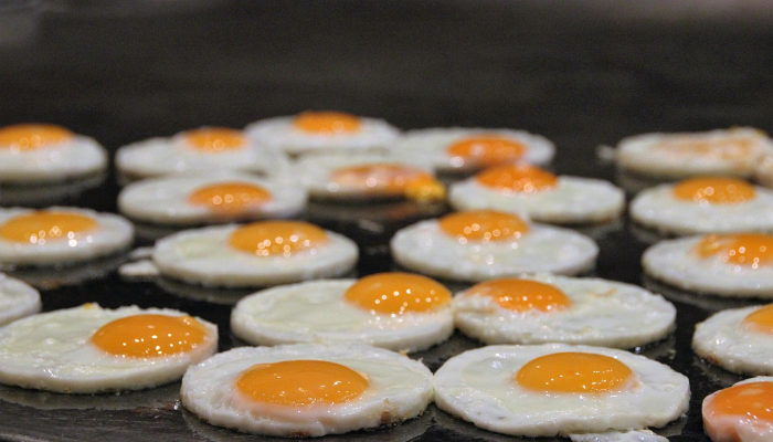 太和疫情情况最新