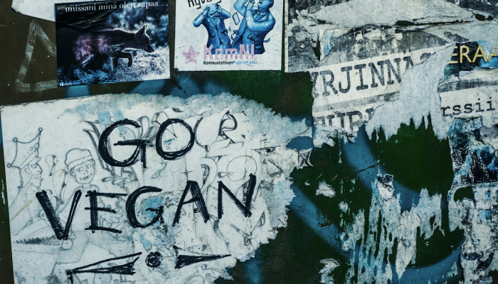 船山区最新疫情通报图：全面掌控健康防疫动态