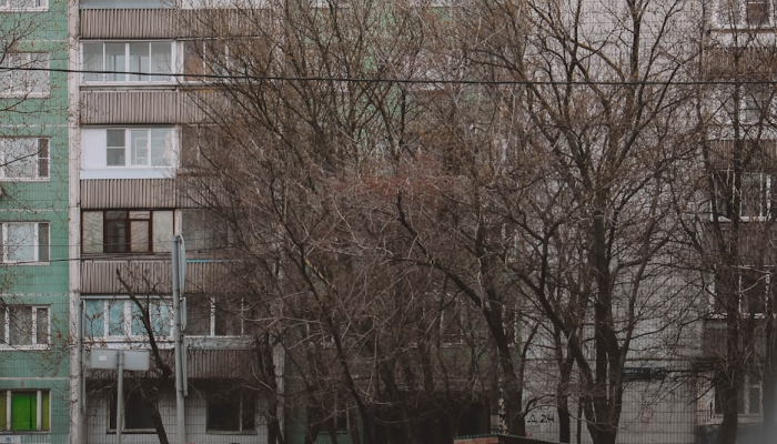 榆树市疫情图片最新：你需要了解的关键信息