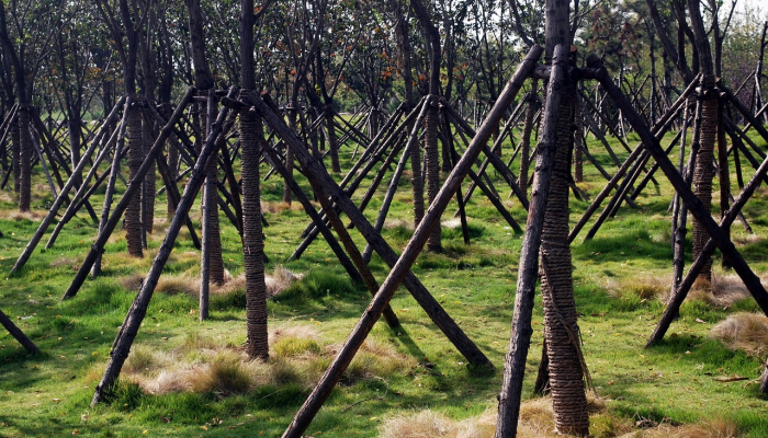 礼县龙潭最新消息疫情：保护健康，共同守护我们的家园