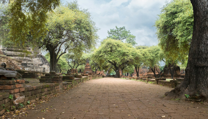 园林场最新疫情：关注健康，共筑安全