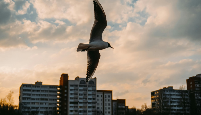 云南玉林最新疫情：你需要知道的一切