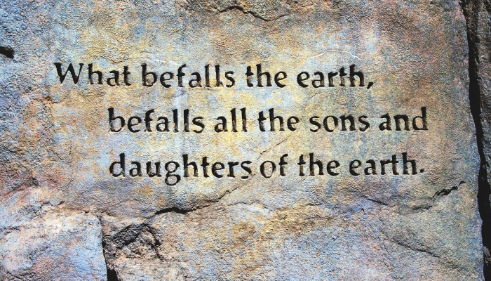 查一下最新疫情动态：全球健康前沿与你的防护指南