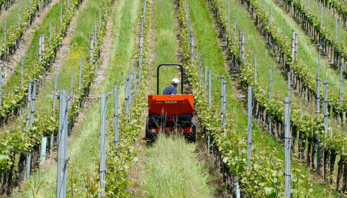 最新浙江嘉兴疫情消息：保护健康，共同应对未来挑战