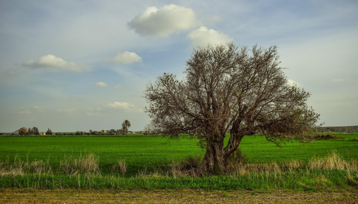 法国疫情最新补助：您的权益守护者