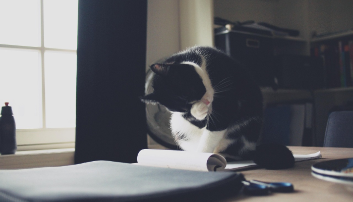 疫情进入深圳要求最新：让我们一起了解防控新动态