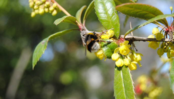 山东疫情分区分类最新：让我们一起了解最新动态