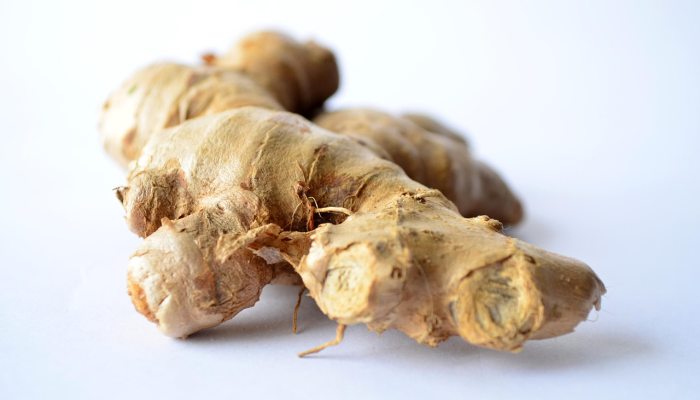 美南疫情最新通报：防控与生活重启并行