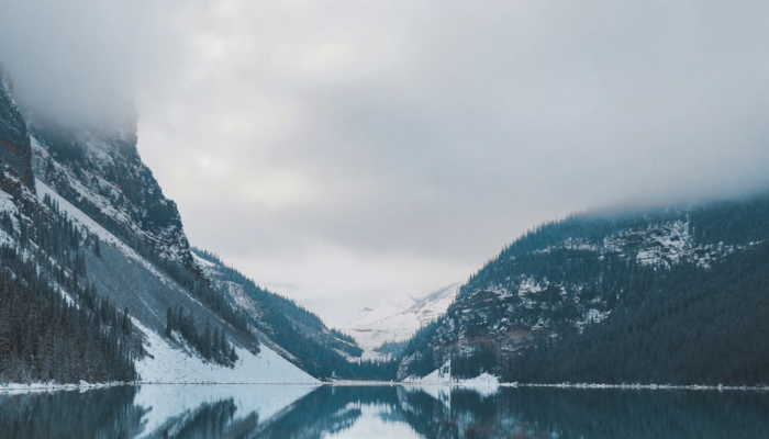 漳州九峰最新疫情情况：你所需要了解的一切