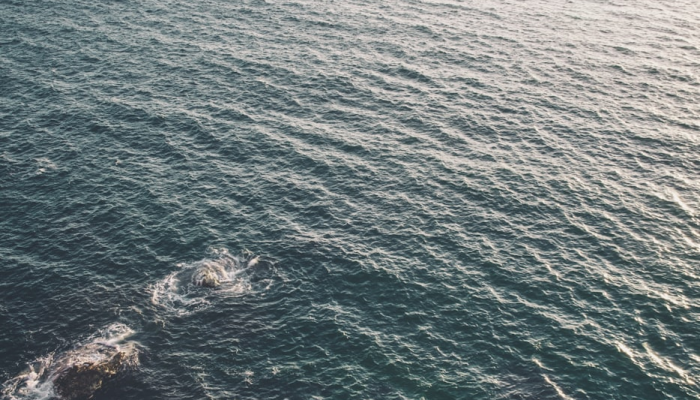 云上海疫情最新消息：保护健康，共同奋战