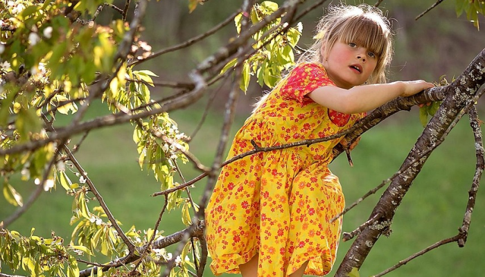 花博会最新疫情：安全与美丽并重的盛会