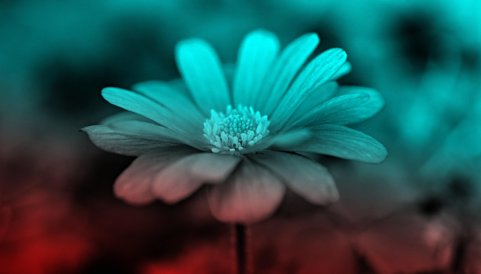 岳麓区疫情最新数据：全面解析与防疫最新动态