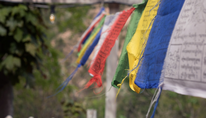 平度疫情动态最新：防疫知识与生活方式的平衡