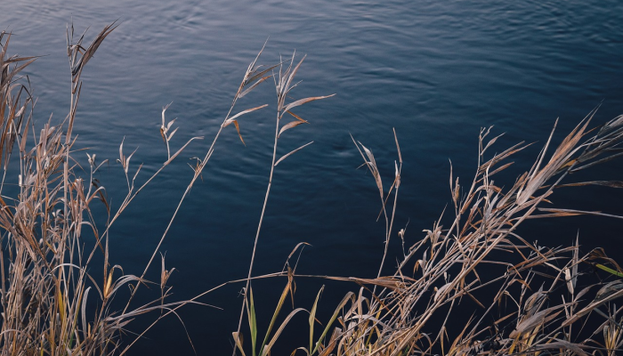 砚池山最新疫情：保护健康，共同应对