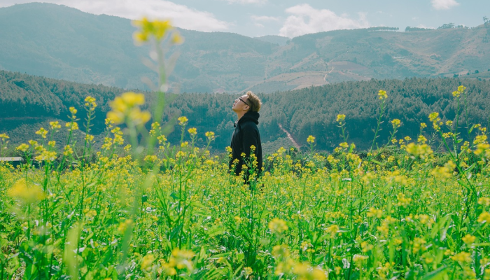 白河区疫情最新：你需要知道的每日动态