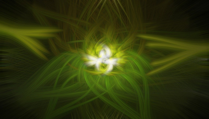 最新疫情实事动态：全球防疫进展与未来展望