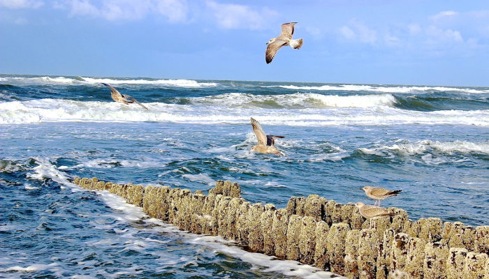 宜城疫情最新：为你提供全面、权威的信息更新