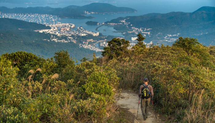 香港疫情市况最新：最新动态与防疫策略