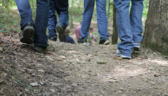 最新疫情吃药：保护自己与家人的健康之道