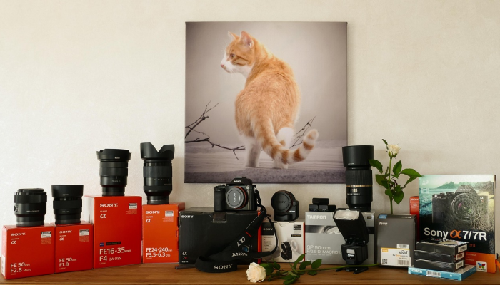 界面新闻长春疫情最新：全面了解防控措施与社会反应