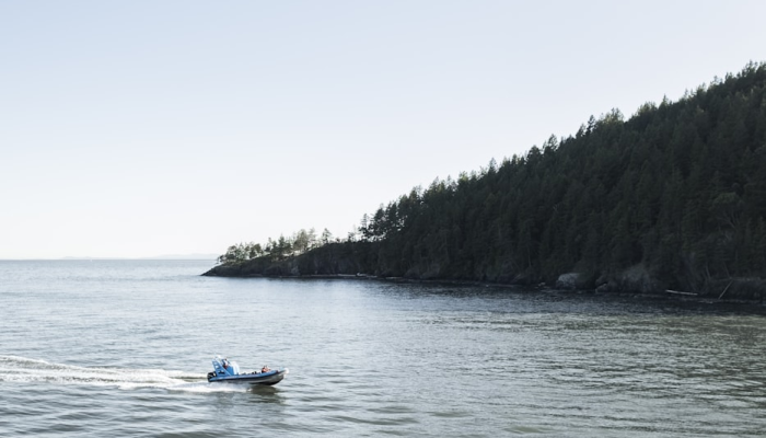 最新太和县疫情消息