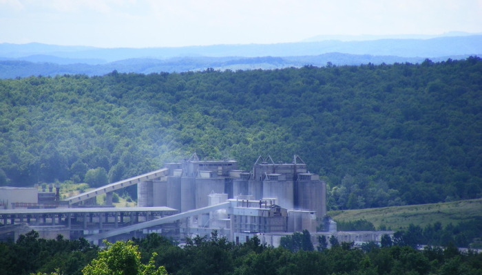 茂名电白的最新疫情：防疫进展与未来展望