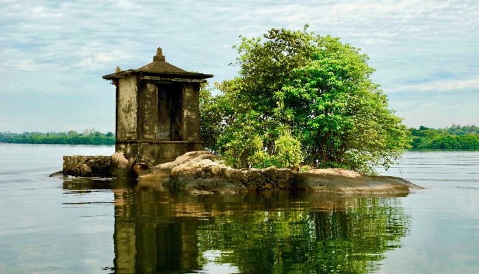 疫情最新病例症状：深入解析与最新动态