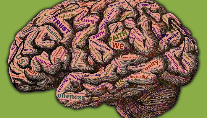 海城今天疫情最新报告：全面了解防疫动态与健康保护措施