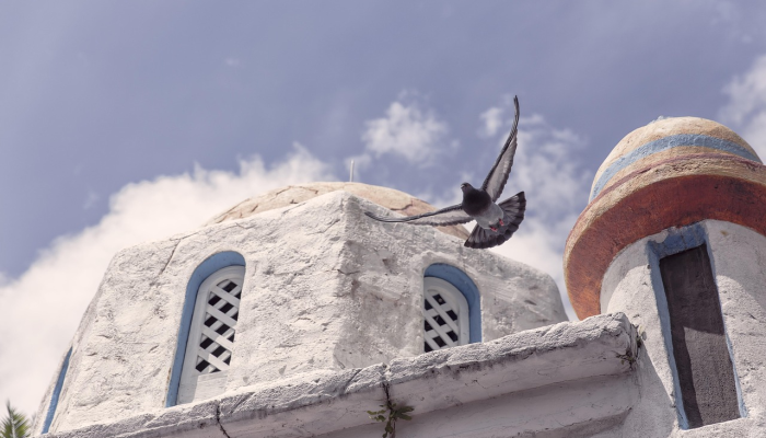 盐城疫情通知最新