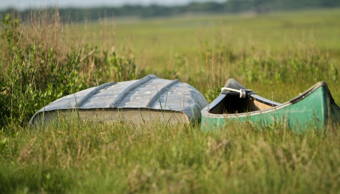 保定北河疫情最新：全面了解最新动态与防疫措施