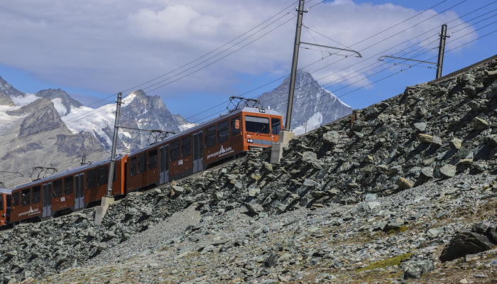 北山路最新疫情情况：你所需要了解的全面信息