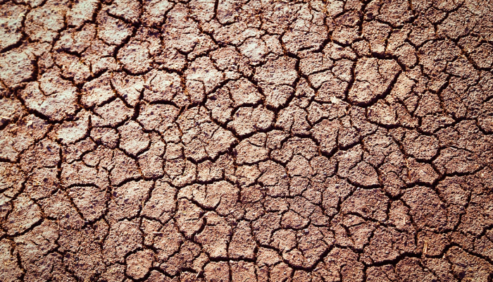 沙石疫情最新报告：全球防疫进展与未来展望