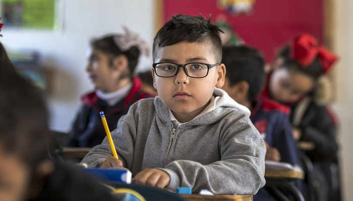 伊利最新疫情：保障健康的品牌责任与行动