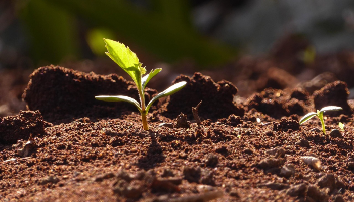 每年春天疫情最新消息：保护健康，科学应对