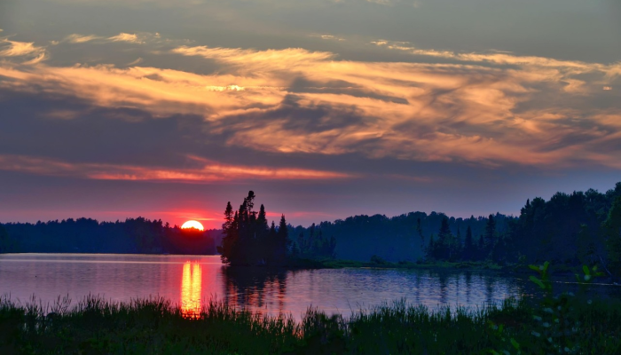 武汉椰树最新疫情：疫情防控与生活新常态