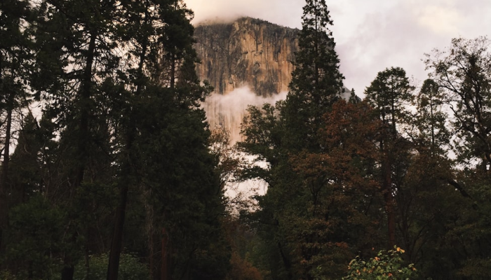 嘉定平湖疫情最新情况：科学防疫，共同守护健康