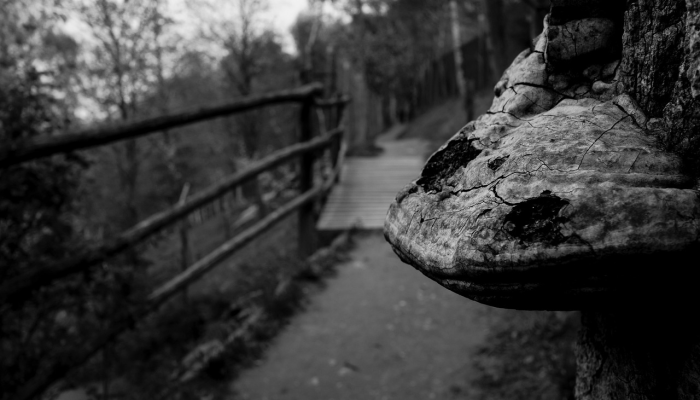 桂林疫情最新动态：全面了解当前形势与防控措施